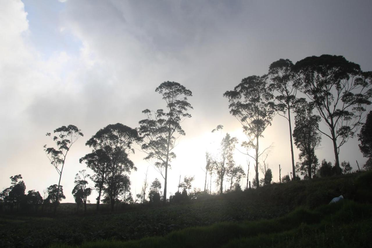 Thendral: Delightful Homestay On A Hill Near Ooty Naduvattam Exterior photo