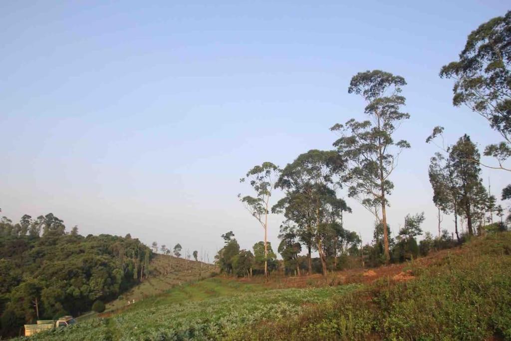 Thendral: Delightful Homestay On A Hill Near Ooty Naduvattam Exterior photo