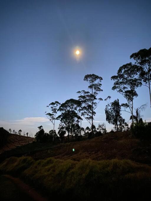 Thendral: Delightful Homestay On A Hill Near Ooty Naduvattam Exterior photo